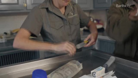 Defenders of the Wild S02E04 XviD-AFG EZTV