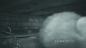 Defenders UK S01E04 HDTV x264-UNDERBELLY EZTV
