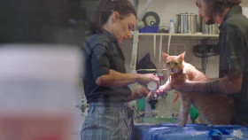 Desert Vet S01E03 REAL XviD-AFG EZTV