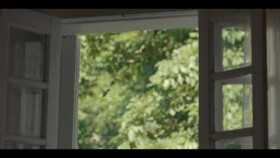 Desperate Lies S01E04 XviD-AFG EZTV