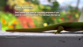 Desperately Seeking Soulmate Escaping Twin Flames Universe S01E01 XviD-AFG EZTV