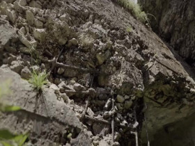 Dictators Hideouts S01E03 480p x264-mSD EZTV