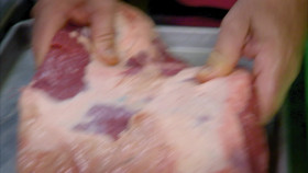 Diners Drive-Ins and Dives S49E07 1080p WEB h264-FREQUENCY EZTV