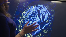 Dinosaur Apocalypse S01E01 1080p WEB H264-CBFM EZTV