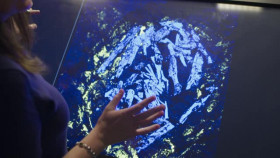 Dinosaur Apocalypse S01E01 XviD-AFG EZTV