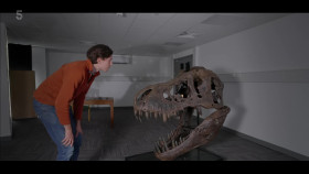 Dinosaur with Stephen Fry S01E03 1080p HDTV H264-DARKFLiX EZTV