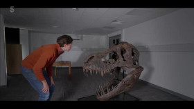 Dinosaur with Stephen Fry S01E03 XviD-AFG EZTV