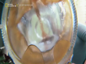 Disasters Engineered S02E08 480p x264-mSD EZTV