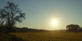 Divorce Attorney Shin S01E08 KOREAN WEBRip x264-LAMA EZTV