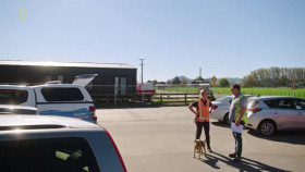 Dog Patrol S12E05 XviD-AFG EZTV