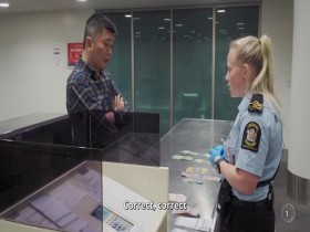 Dog Squad S11E09 480p x264-mSD EZTV