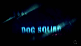 Dog Squad S12E05 720p HDTV x264-WURUHI EZTV