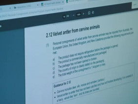 Dog Squad S13E07 480p x264-mSD EZTV