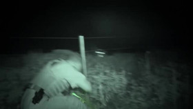 Dog Squad S13E09 XviD-AFG EZTV