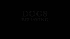Dogs Behaving Badly S01E04 720p HDTV x264-PLUTONiUM EZTV