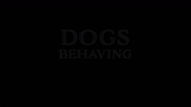 Dogs Behaving Badly S01E04 HDTV x264-PLUTONiUM EZTV