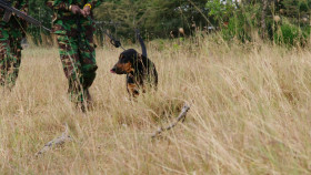 Dogs With Extraordinary Jobs S01E04 1080p WEB H264-CBFM EZTV