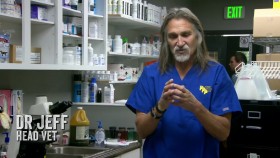Dr Jeff Rocky Mountain Vet S07E07 Bison Wranglers 720p HEVC x265-MeGusta EZTV