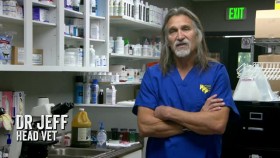 Dr Jeff Rocky Mountain Vet S07E07 Bison Wranglers RERiP XviD-AFG EZTV