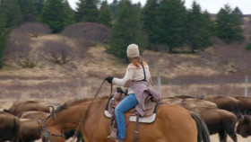 Dr Oakley Yukon Vet S11E03 XviD-AFG EZTV