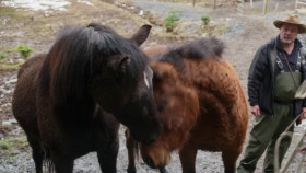 Dr Oakley Yukon Vet S11E05 1080p WEB h264-EDITH EZTV