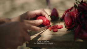 Dynamic Planet S01E03 Fire 720p AMZN WEB-DL DDP5 1 H 264-NTb EZTV