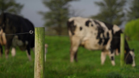 Ear To The Ground S32E01 1080p WEB H264-CBFM EZTV