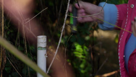 Ear To The Ground S32E04 1080p WEB H264-CBFM EZTV