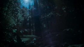 Earth at Night in Color S01E02 XviD-AFG EZTV