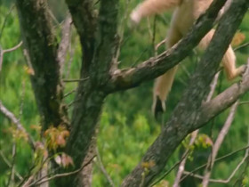 Earth Odyssey With Dylan Dreyer S03E30 480p x264-mSD EZTV