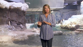 Earth Odyssey With Dylan Dreyer S04E09 1080p WEB h264-DiRT EZTV