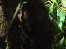 Earth Odyssey With Dylan Dreyer S04E34 480p x264-mSD EZTV