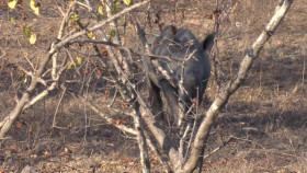 Earth Odyssey With Dylan Dreyer S05E05 XviD-AFG EZTV