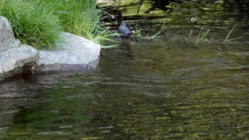 Earth Odyssey With Dylan Dreyer S05E09 720p WEB h264-DiRT EZTV