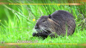 Earth Odyssey With Dylan Dreyer S05E17 XviD-AFG EZTV