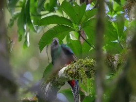 Earth Odyssey With Dylan Dreyer S06E21 480p x264-mSD EZTV