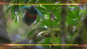 Earth Odyssey With Dylan Dreyer S06E21 720p WEB h264-DiRT EZTV