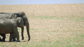 Earth Odyssey With Dylan Dreyer S07E02 1080p WEB h264-DiRT EZTV