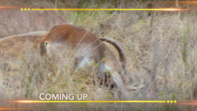 Earth Odyssey With Dylan Dreyer S07E04 1080p WEB h264-DiRT EZTV