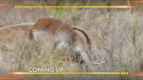 Earth Odyssey With Dylan Dreyer S07E04 720p WEB h264-DiRT EZTV