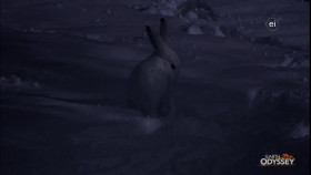 Earth Odyssey With Dylan Dreyer S07E05 1080p WEB h264-DiRT EZTV