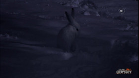 Earth Odyssey With Dylan Dreyer S07E05 720p WEB h264-DiRT EZTV