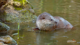 Earth Odyssey With Dylan Dreyer S07E08 720p WEB h264-DiRT EZTV