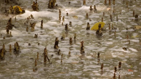 Earth Odyssey With Dylan Dreyer S07E10 720p WEB h264-DiRT EZTV