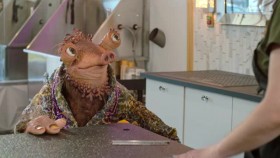 Earth to Ned S01E05 XviD-AFG EZTV