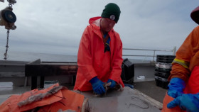 East Harbour Heroes S02E10 1080p WEBRip x264-BAE EZTV