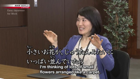 Easy Japanese for Work S01E35 Asking for More Information 720p HDTV x264-DARKFLiX EZTV