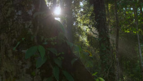 Eden Untamed Planet S01E01 XviD-AFG EZTV