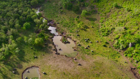 Eden Untamed Planet S01E04 XviD-AFG EZTV
