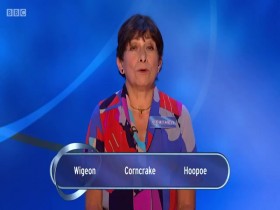 Eggheads S21E30 480p x264 mSD eztv